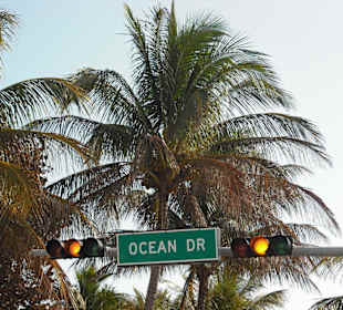 Ocean Drive