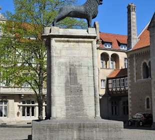 Ansichten des Braunschweiger Löwen