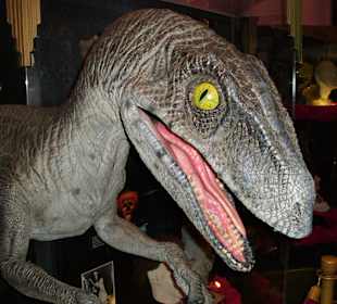 Universal Studios Orlando