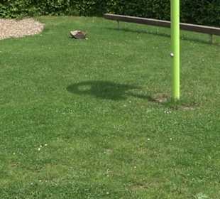 Eugen-Hornberger-Halle