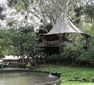 Trout Tree Restaurant