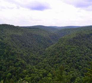 Pine Creek Gorge, Wellsboro, Pennsylvania