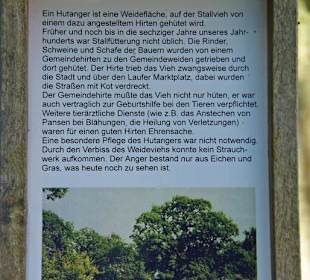 Der Bitterbach im Pegnitztal bei Nürnberg