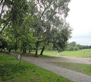 Park