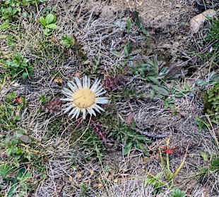 Wandern Moso in Passiria / Moos in Passeier