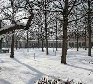 Januar 2026 im Kurpark von Bad Kissingen