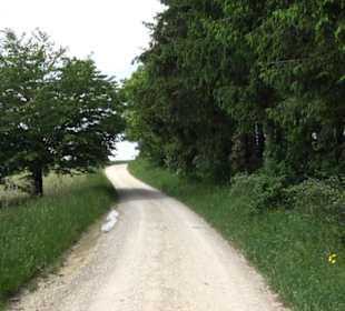 Klimaweg Sonnenalb