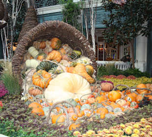 Botanischer Garten Bellagio