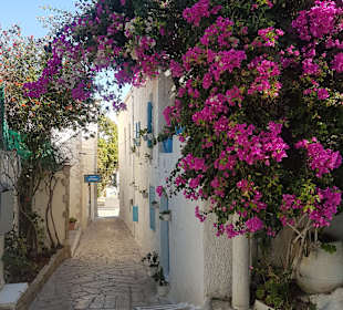 Stadtrundgang Panormos