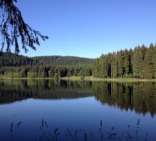 Wandern Neuhaus am Rennweg