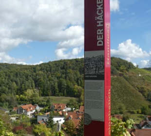 Ramsthal: terroir f und Ausblick