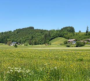 Wandern Fuschl am See