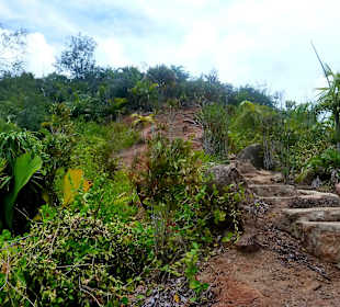 Naturreservat Fond Ferdinand