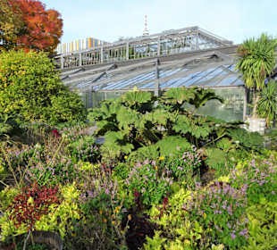 Rundgang durch das Gelände von Planten un Blomen