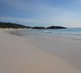 Rosafarbener Horseshoe Beach Bermuda