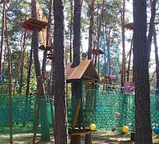 Park od środka