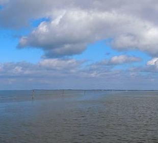 Hafen Neuharlingersiel