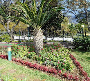Parque de Santa Catarina