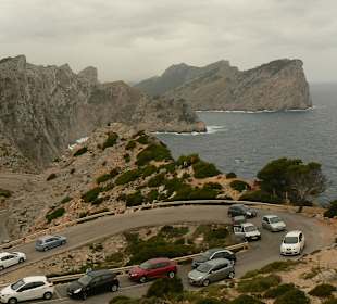 Tagsüber sind sie alle da