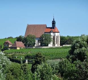 Blick auf die Wallfahrtskirche Maria im Weingarten