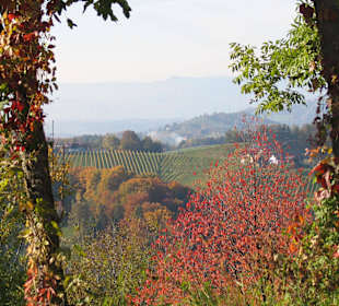 Ausblick vom Weingut Kranachberg