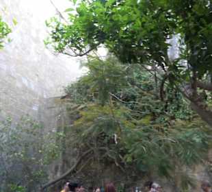 Casa Rocca Piccola