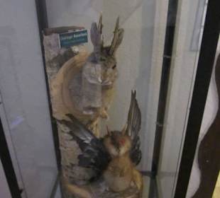 Im Elwetritschemuseum Speyer