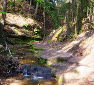 Die Bitterbachschlucht