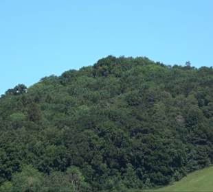 Ruine Hohengenkingen - Genkingen