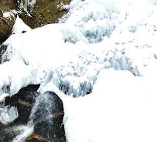 Risslochwasserfälle  2 1/2 Std. wandern