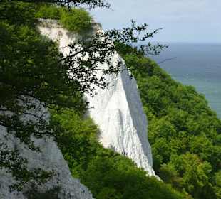 Blick von der Victoriasicht auf den Königsstuhl