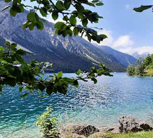 Plansee