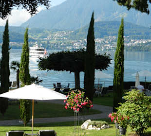 Auf direkter Fahrt nach Spiez