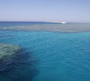 Riesen Korallenriffe