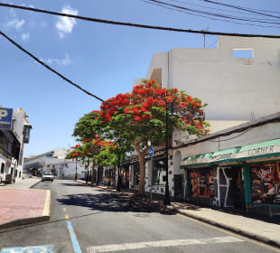 Wandern Puerto del Carmen