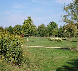 Der sommerliche Baumpark Thedinghausen