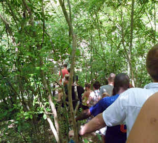Auf dem Weg durch den Urwald