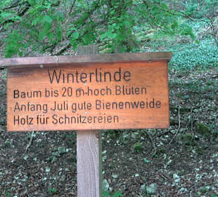 Waldlehrpfad in Tieringen