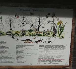 Barfußpfad Firstwald