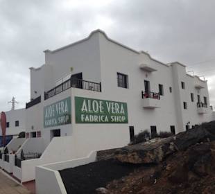 Aloe Vera Infocenter Lanzarote - La Santa