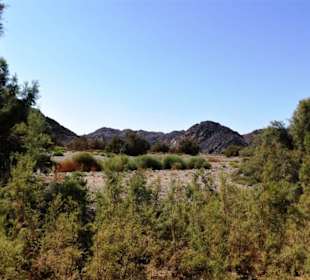 Wadi Abenteuer Safari