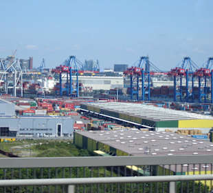 Hamburg - Auge in Auge mit den Giganten