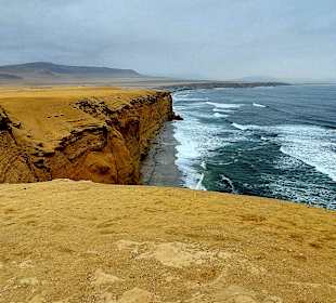 Nationalreservat Paracas