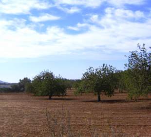 Landschaft