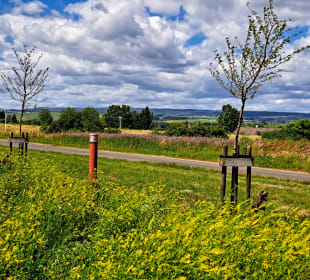 Stadtrundgang Bad Kreuznach