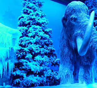 Unterkreide-Der Eiswald