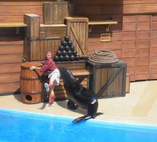 Clyde und Seamore Show