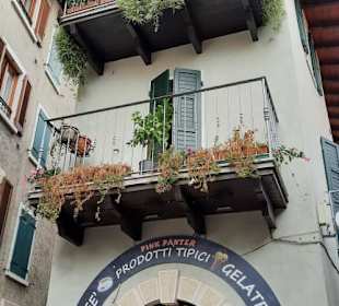 Alles für und von den Zitronen