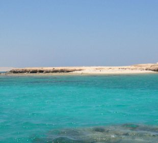 Ausflug zum Magawish Rifff