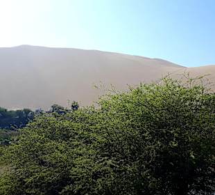 Oase Huacachina
